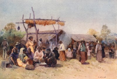 Neuseeland: Einheimisches Treffen von Walter Wright