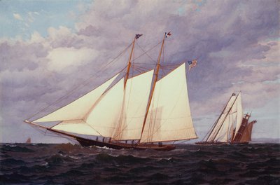 Die Cornelia bei der New York Yacht Club Regatta, 11. Juni von Warren Sheppard