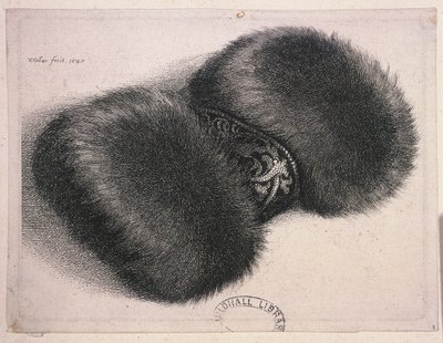 Ein großer Muff mit einem Brokatband, 1647 von Wenceslaus Hollar
