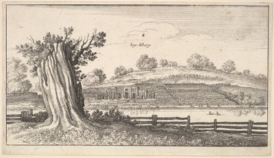 Albury mit Baumstumpf im Vordergrund von Wenceslaus Hollar