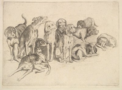 Elf Jagdhunde von Wenceslaus Hollar