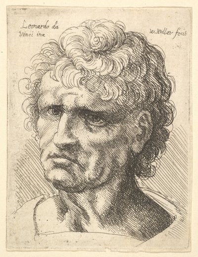 Kopf eines Mannes mit ernstem Ausdruck, 1625-77 von Wenceslaus Hollar