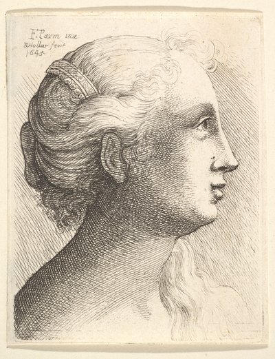 Kopf einer jungen Frau im Profil nach rechts, 1645 von Wenceslaus Hollar