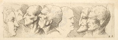 Kopfstudien von Wenceslaus Hollar