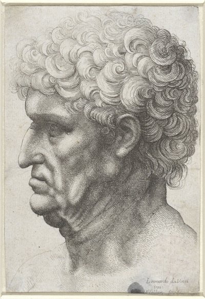 Kopf eines Mannes mit lockigem Haar, im Profil von Wenceslaus Hollar