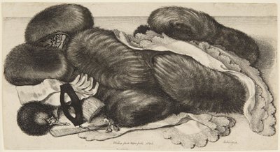 Muffe und Putz von Wenceslaus Hollar