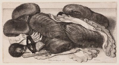  von Wenceslaus Hollar