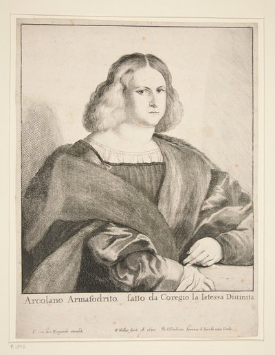 Porträt eines Mannes (Arcolano Armafodrito) von Wenceslaus Hollar