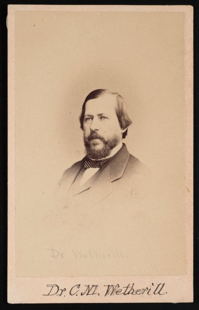 Porträt von Dr. Charles Mayer Wetherill 1825-1871 von Wenderoth and Taylor