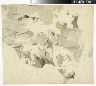 Waldinneres, steile Felswand, Bäume von Werner Holmberg