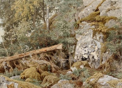 Moosiger Felsen im Wald von Werner Holmberg