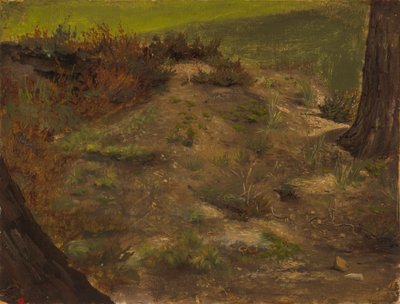  von Werner Holmberg