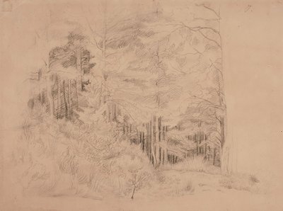 Ohne Titel von Werner Holmberg