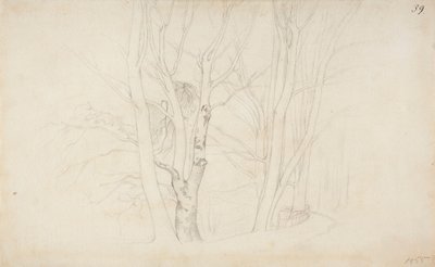 Ohne Titel von Werner Holmberg