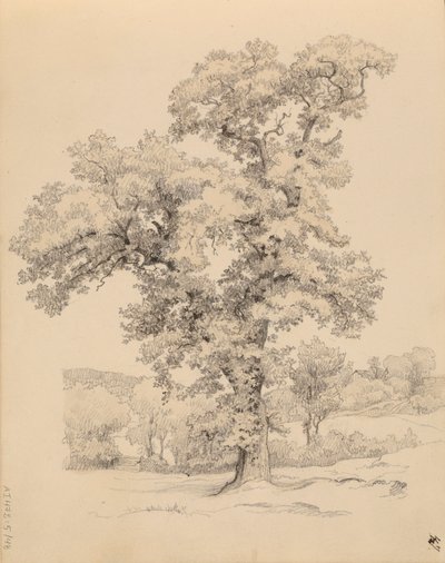 Ohne Titel von Werner Holmberg
