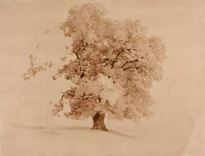 Ohne Titel von Werner Holmberg