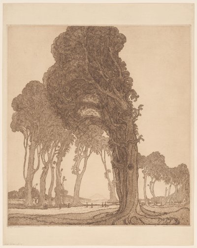 Teil der großen Straße bei der Dessa Cakranegara (Tjakranegara) auf Lombok von Wijnand Otto Jan Nieuwenkamp