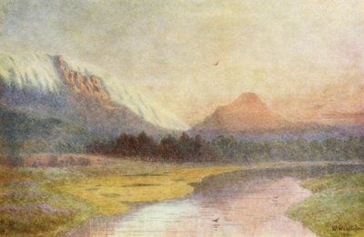 Ein Sonnenuntergang am Lion