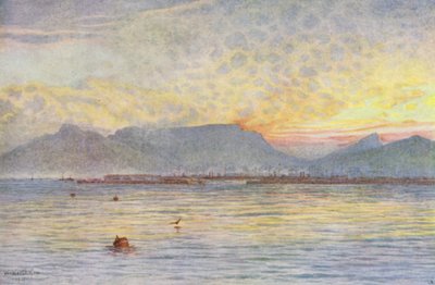 Kapstadt von der Tafelbucht aus von Wilhelm Westhofen