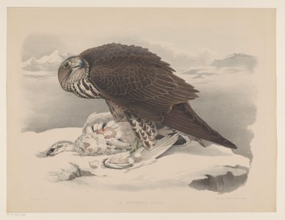 Gerfalke mit Schneehuhn von Willem Bastiaan van Wouw