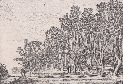Zwei Plankenhecken, aus Verscheyden Landtschapjes Verschiedene kleine Landschaften, Platte 6,..., ca. 1616. von Willem Pietersz. Buytewech