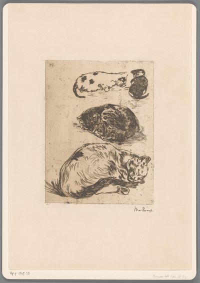 Studie von Katzen von Willem de Zwart (signed by artist)
