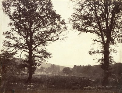 Landschaft mit Ulmen, Ashdown, Großbritannien von William 2nd Earl of Craven