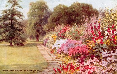 Staudenbeet, Kew Gardens von William Affleck Carruthers