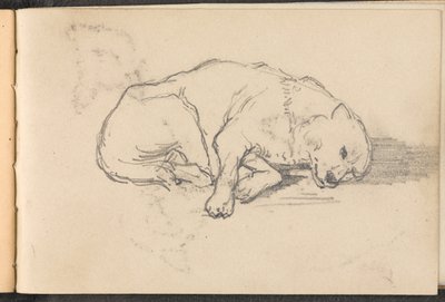 Skizze eines schlafenden Hundes, ca. 1879 von William Barnes Wollen