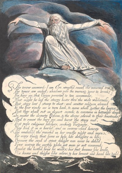 Amerika. Eine Prophezeiung, Tafel 10, Die Antwort des Schreckens... von William Blake