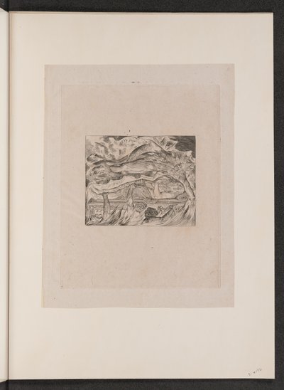 Hiobs böse Träume von William Blake
