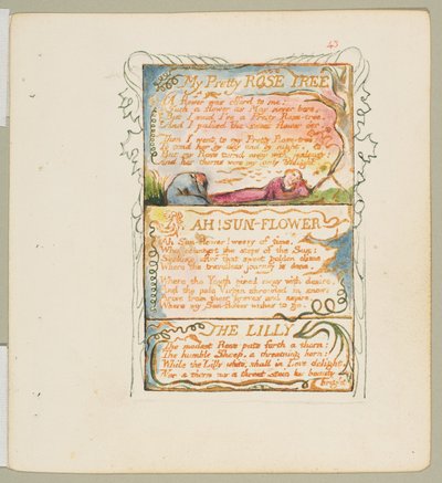 Lieder der Unschuld und der Erfahrung: Mein hübscher Rosenbaum, Ach! Sonnenblume, Die Lilie, ca. 1825 von William Blake