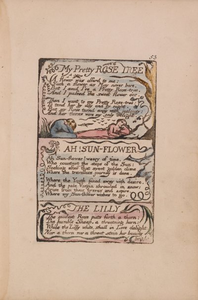 Lieder der Unschuld und Erfahrung, Platte 53, Mein hübscher Rosenbaum, Ach! Sonnenblume, Die Lilie von William Blake