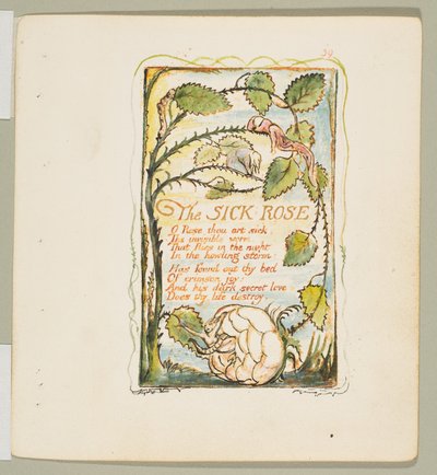 Lieder der Unschuld und Erfahrung: Die kranke Rose, ca. 1825 von William Blake