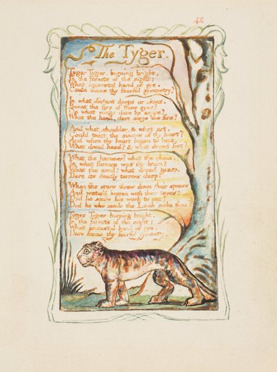 Lieder der Unschuld und der Erfahrung: Der Tiger, ca. 1825 von William Blake