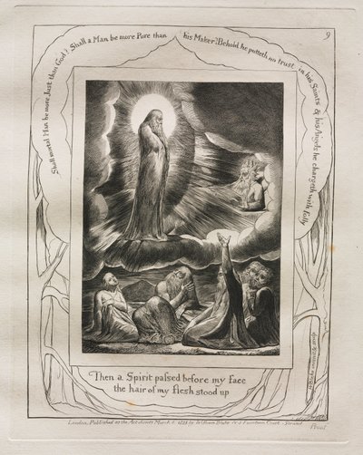 Das Buch Hiob: Pl. 9, Dann ging ein Geist vor meinem Gesicht vorbei / das Haar meines Fleisches stand auf von William Blake