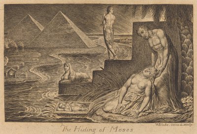 Das Verstecken von Moses von William Blake