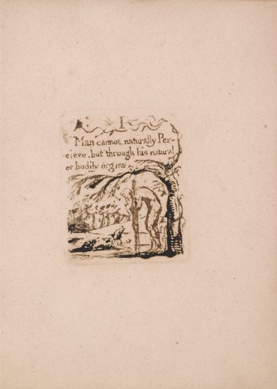 Es gibt keine natürliche Religion, Tafel 3, Ich Mensch kann nicht natürlich.... (Bentley a4) von William Blake