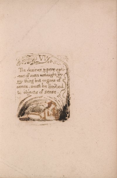 Es gibt keine natürliche Religion, Tafel 8, VI Die Wünsche und Wahrnehmungen.... (Bentley a9) von William Blake