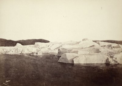  von William Bradford