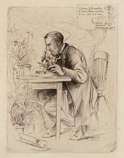 Alexander Dickson, Professor der Botanik von William Brassey (after) Hole