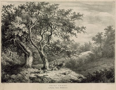 Dornbäume im Bushy Park, Middlesex von William Burges