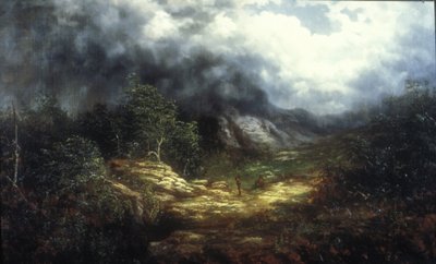 Sturm über den Blue Ridge von William Charles Anthony Frerichs