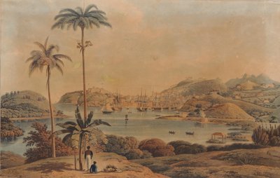 Ansicht der Stadt St. George und Richmond Heights auf der Insel Grenada, vom Bay aus gesehen von Lieutenant Colonel Wilson, 1819 von William Daniell