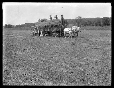 Landarbeiter laden Heu auf einen pferdegezogenen Heuwagen, McCready Farm, Crawford County, Pennsylvania, ca. 1913 von William Davis Hassler
