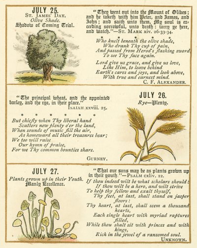 Seite aus dem Bibel-Emblem-Jubiläumsbuch von William Foster