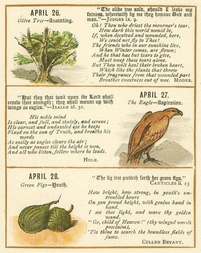 Seite aus dem Bibel-Emblem-Jubiläumsbuch von William Foster