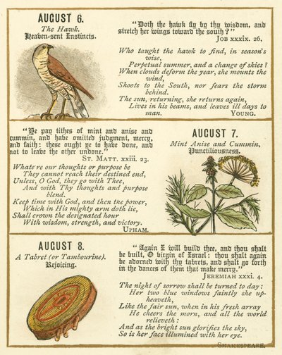 Seite aus dem Bibel-Emblem-Jubiläumsbuch von William Foster