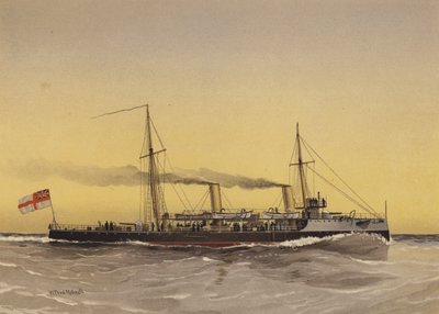 HMS Speedwell, Torpedokanonenboot von William Frederick Mitchell