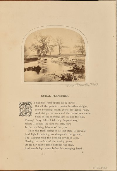 Pastorale Szene mit Vieh auf einem überfluteten Feld, England von William Grundy